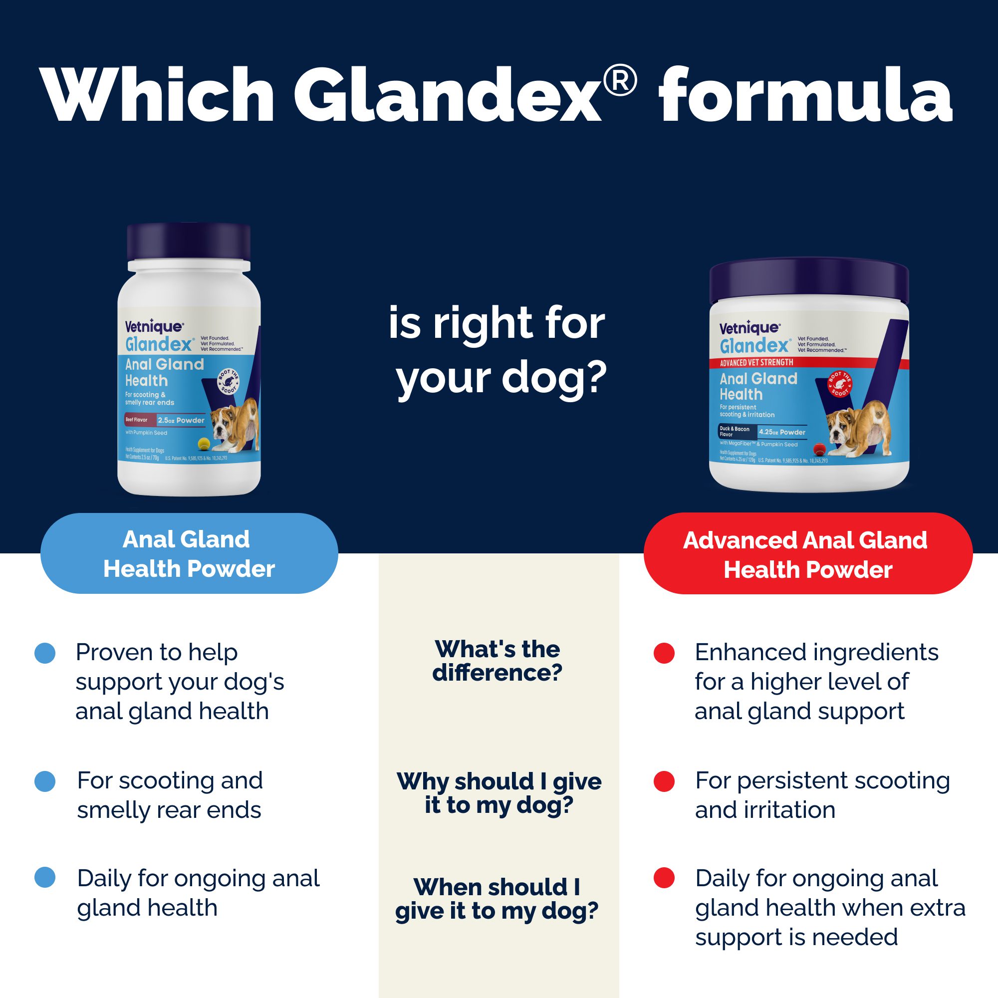 Glandex - Image 2