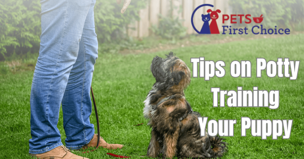 potty training