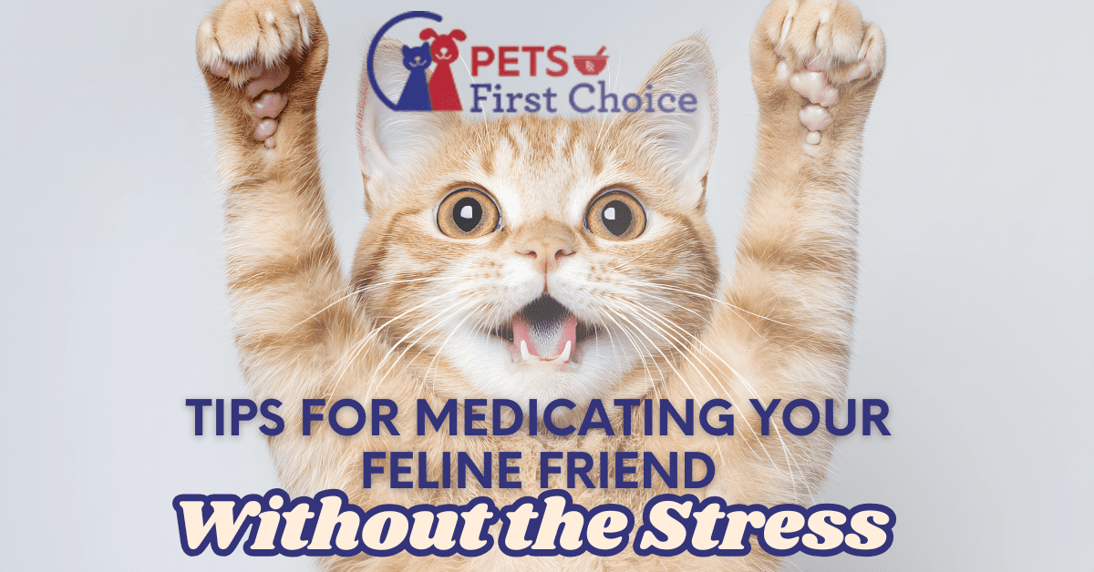 Image result for Tips for Medicating Your Feline Friend Without the Stress | Pets First ...
