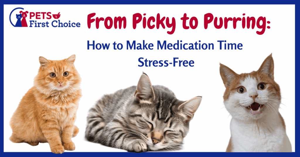 cat stress relief