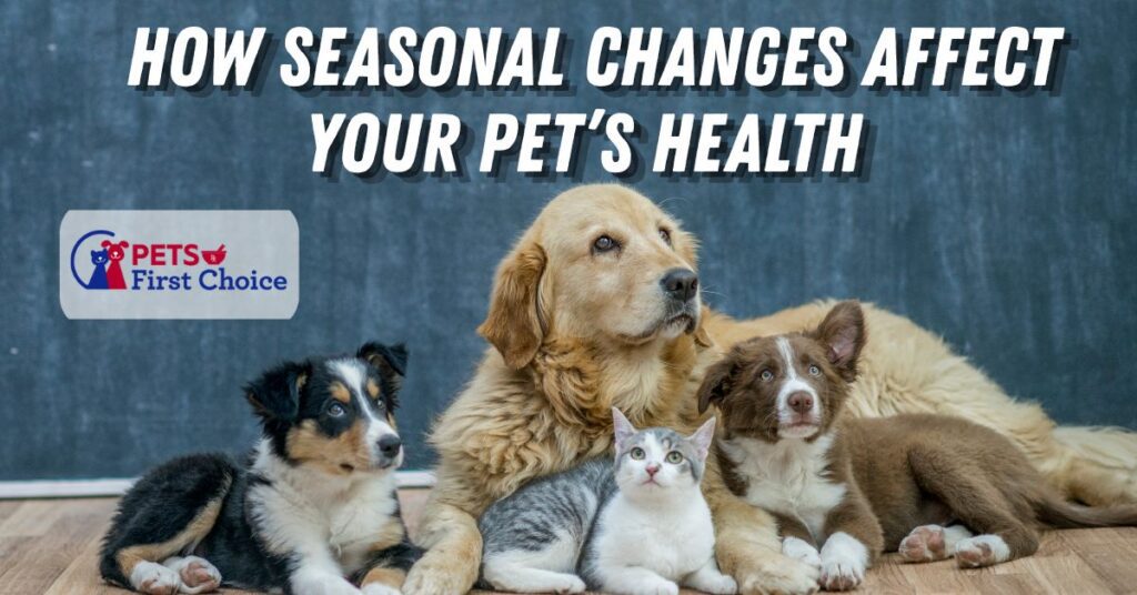 pet allergies