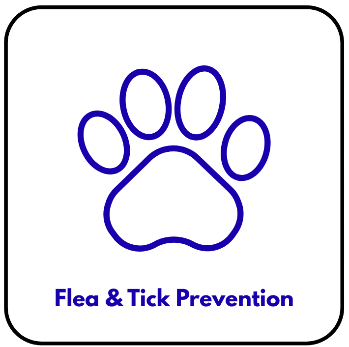 Flea & Tick Prevention Button