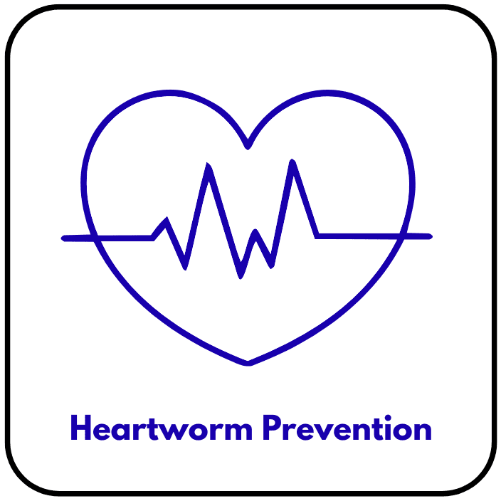 Heartworm Prevention Button